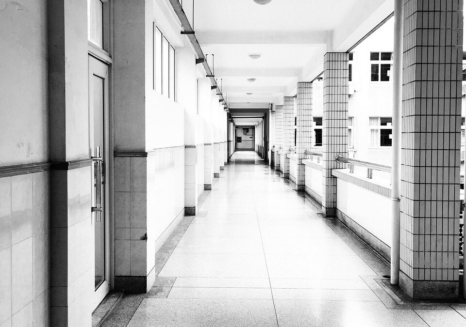 Sekolah SMAN 100: Membangun Generasi Unggul